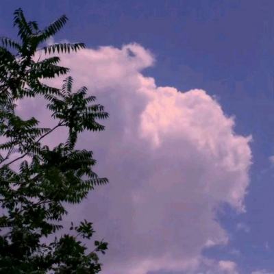 麻痹单职业bt版下载